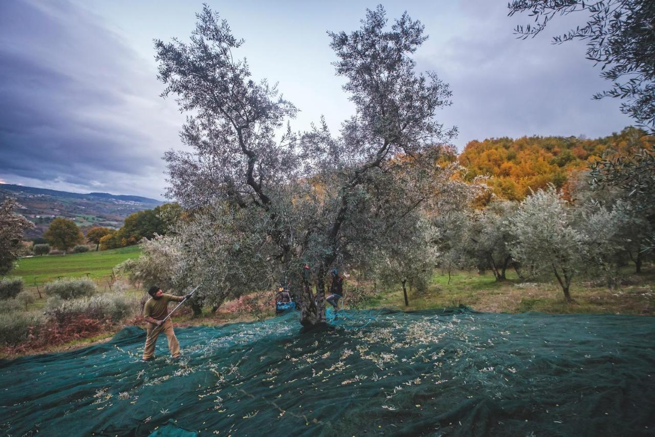 Agriturismo Bellofatto Torella dei Lombardi Екстер'єр фото