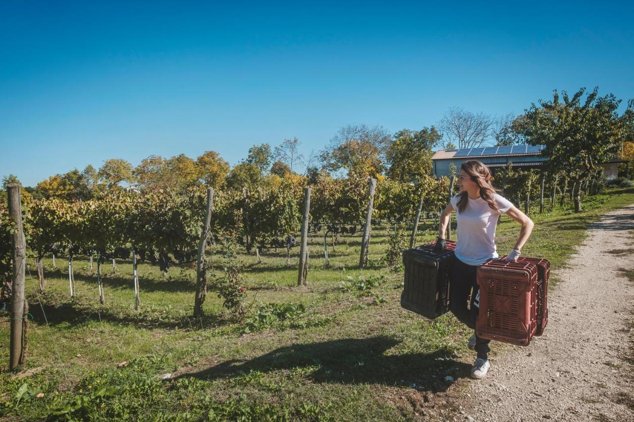 Agriturismo Bellofatto Torella dei Lombardi Екстер'єр фото